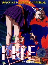 风筝A KITE